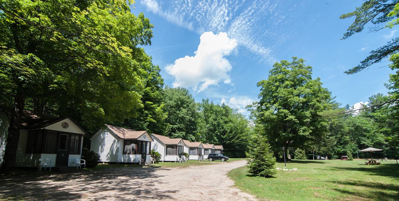 Profile Motel & Cottages Lincoln Zewnętrze zdjęcie